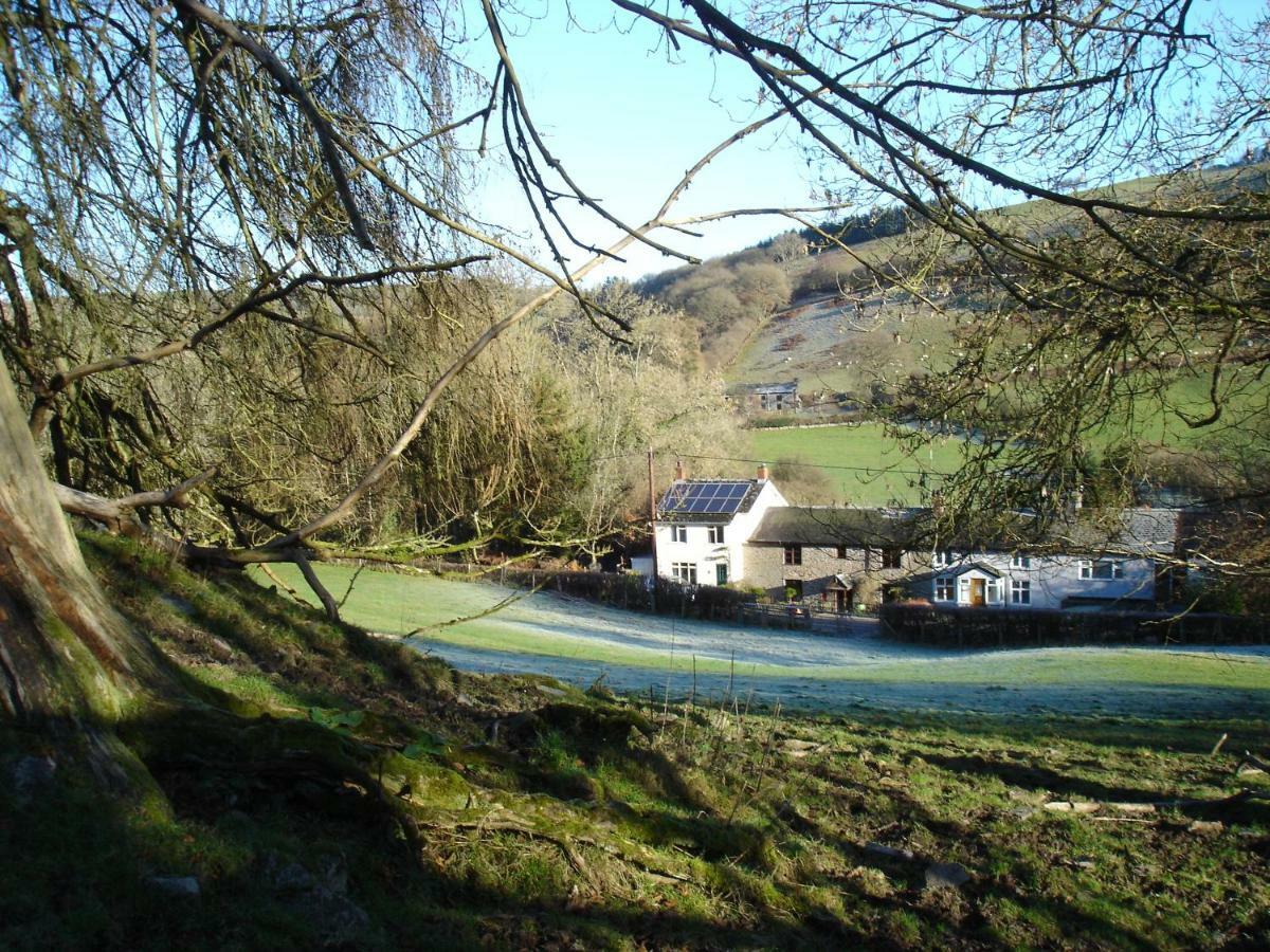 Rose Cottage Dutlas Knighton  Extérieur photo
